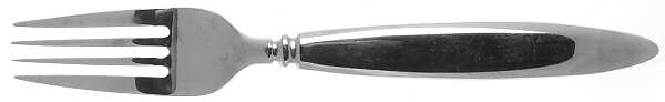FRW18 (STAINLESS) Fork