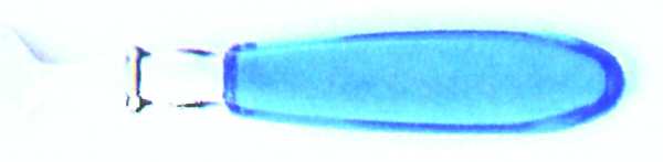 Bayside-Blue (Stainless, Plastic) by Farberware