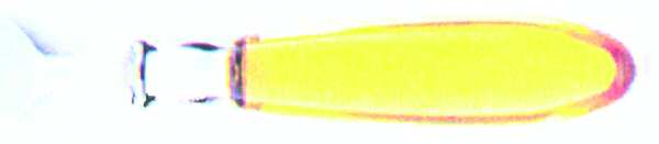 Bayside-Yellow (Stainless, Plastic) by Farberware