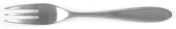 Courier (Stainless) Fork