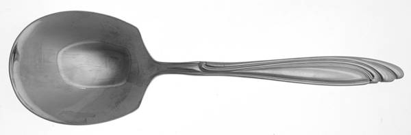 FTU13 (Stainless) Solid Smooth Casserole Spoon