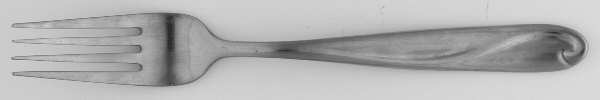 FRW41 (Stainless) Fork