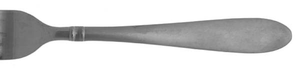 Annotto Satin (Stainless) by Farberware