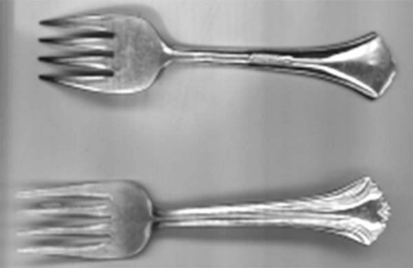 FRW72 (Stainless) by Farberware