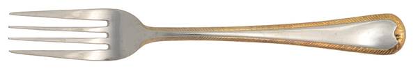 FTU25G (Stainless) Fork