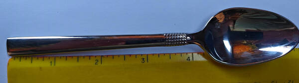 Trilliant (Stainless) by Fortessa