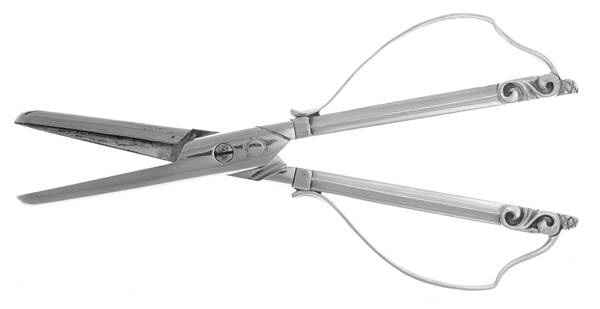Acorn (Sterling, 1915) Grape Shears with Hollow Handle