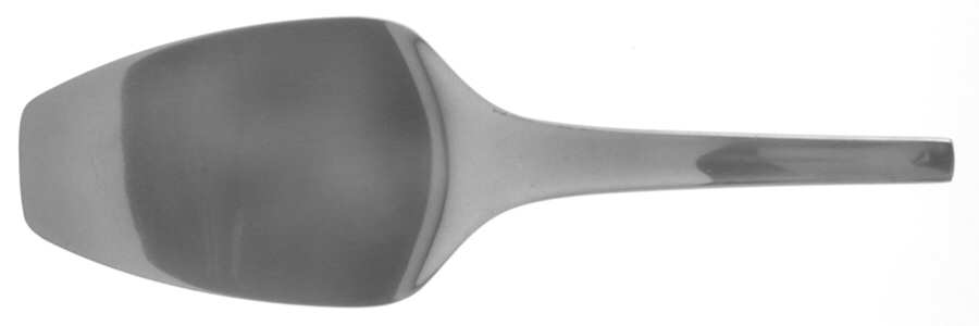 Blue Shark (Stainless) Cake Server, Solid Piece