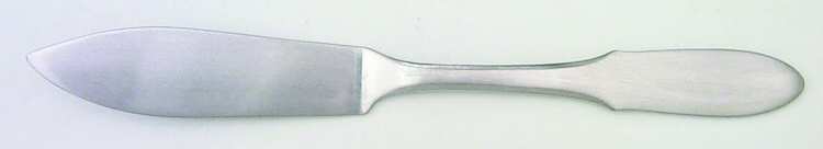 Mitra (Stainless) Individual Solid Fish Knife