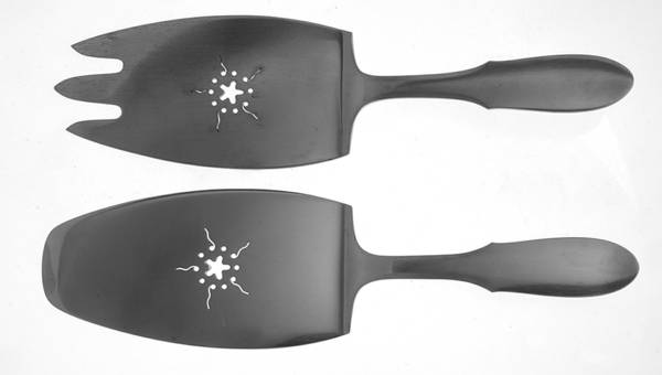 Mitra (Stainless) 2 Piece Large Solid Fish Serving Set