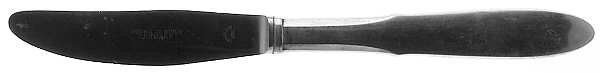 Mitra (Stainless) Modern Long Handle Dinner Knife