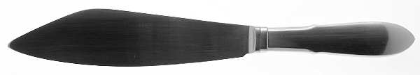 Mitra (Stainless) Large Cake Server Knife with Stainless Blade