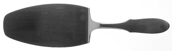 Mitra (Stainless) All Stainless Pie Server