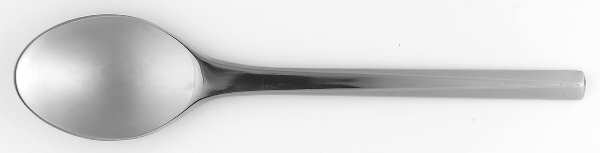 Prism (Stainless) Large Youth Teaspoon