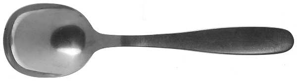 Ellips (Stainless) Sugar Spoon