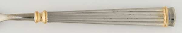 Acropole Dore (Stainless, Gold Acct) by Guy Degrenne