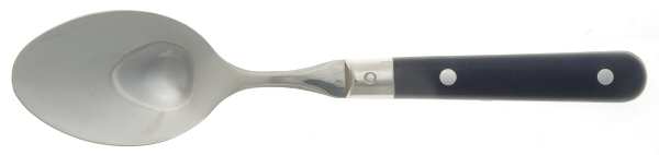 Le Prix-Navy Blue (Stainless) Solid Serving Spoon by Ginkgo