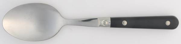 Le Prix-Black (Stainless) Solid Serving Spoon