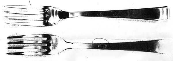Westerland  Fork