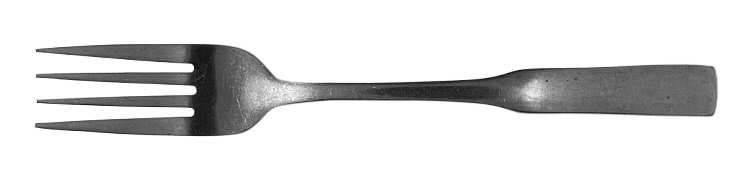 Monmouth (Stainless) Fork