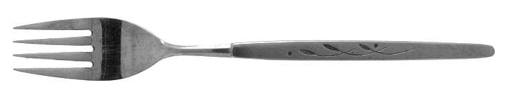 Spring Meadow (Stainless) Fork