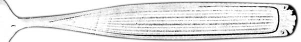 Line (Silverplate) by Hardanger