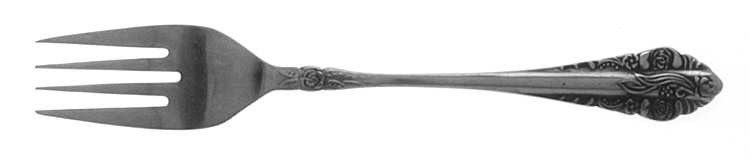 Coeur D'Alene (Stainless) Individual Salad Fork