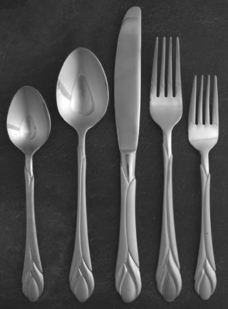 Lily Frosted (Stainless) 5 Piece Place Setting