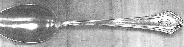 HFL3 (Silverplate) by Homag
