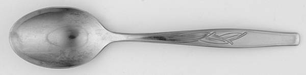 INS208 (STAINLESS) Teaspoon