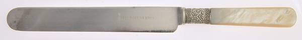 Pearl Handle Flatware 1 (Plated Bolster) by International Silver
