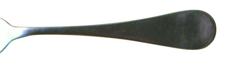 Gamma (Stainless) by ICM