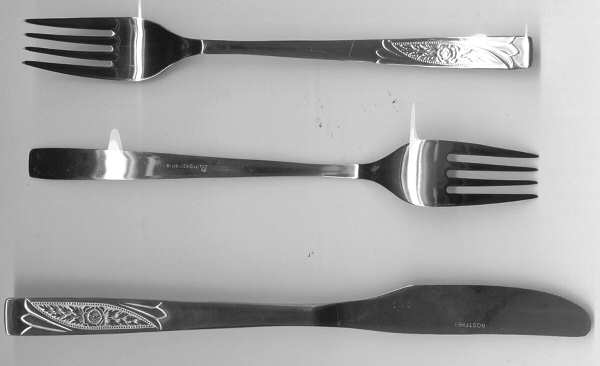 INX1 (STAINLESS) Fork