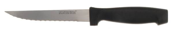 Edgebrook (Stainless) Plastic Handle Individual Steak Knife