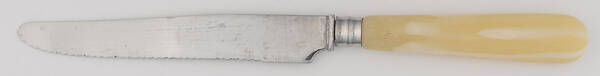 Bistro Cutlery-Ivory (Stainless) Individual Steak Knife Hollow Handle