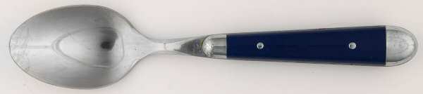 Pantry-Blue (Stainless) Teaspoon