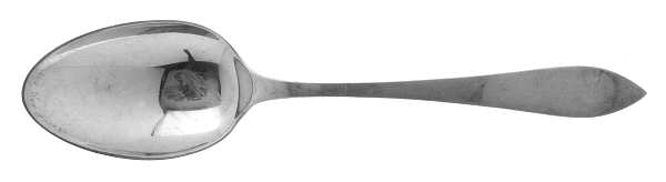 Clinton (Sterling, 1925) Tablespoon (Serving Spoon)