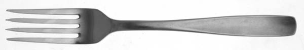 Dream (Stainless) Fork