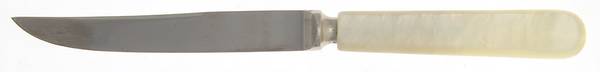 KMA3 (Stainless) Individual Fruit Knife with Stainless Blade