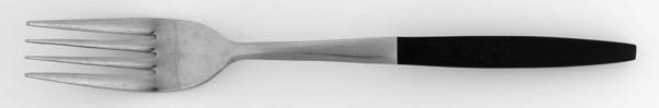 KGS2 (Stainless) by Kingston