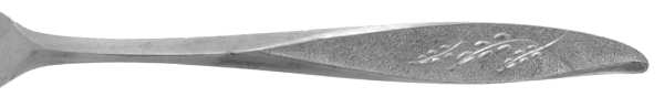 Moonglow (Stainless) by Lifetime