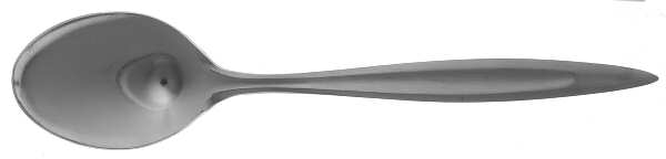 LNM1 (STAINLESS) Teaspoon
