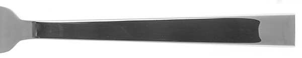 Academy (Stainless) by Ralph Lauren Flatware