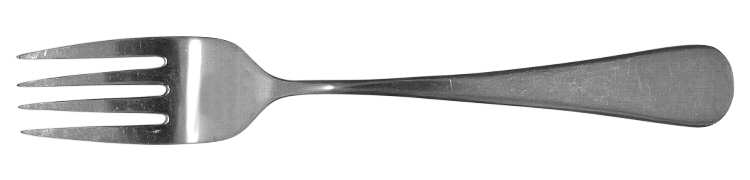 Moselle (Stainless) Fork