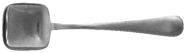 Moselle (Stainless) Sugar Spoon