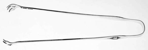 Mount Vernon (Sterling, 1905) Solid Long Handle Olive Serving Tongs