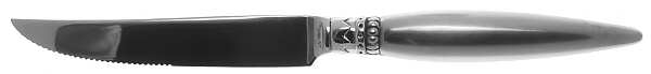 Harlequin (Stainless) Individual Steak Knife Hollow Handle