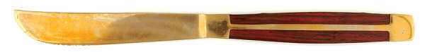 LDI2 (BRONZE) Individual Solid Handle Steak Knife