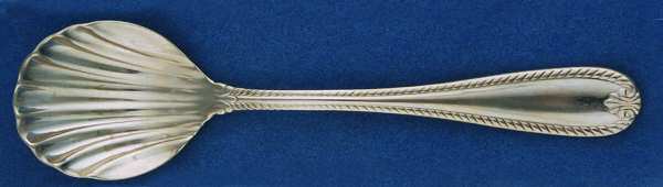 Sugar Shell Spoon