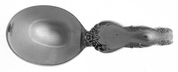 LF16 (Pewter) by Lenox